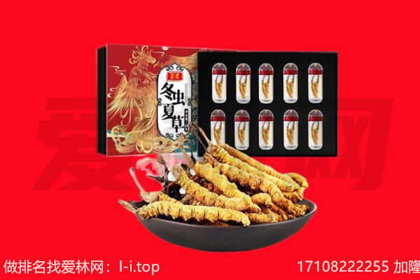 韶关曲江区回收虫草.jpg